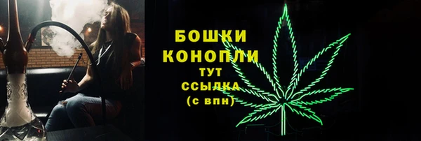 амф Белокуриха