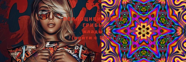 амф Белокуриха