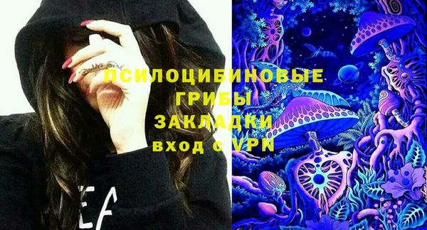 амф Белокуриха