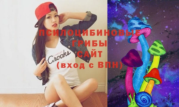 амф Белокуриха