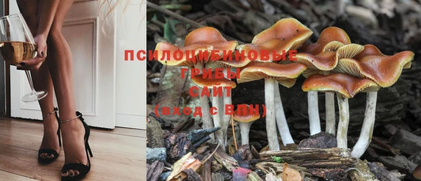 амф Белокуриха