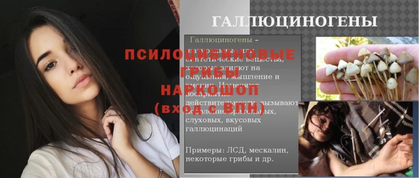 амф Белокуриха